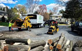 Best Artificial Turf Installation  in Schaumburg, IL