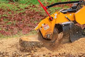 Best Lawn Maintenance Plans  in Schaumburg, IL